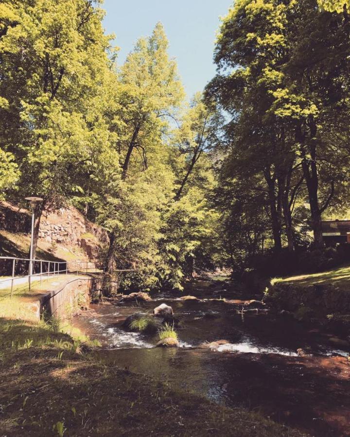 Schwarzwald Maedl Apartman Bad Wildbad Kültér fotó