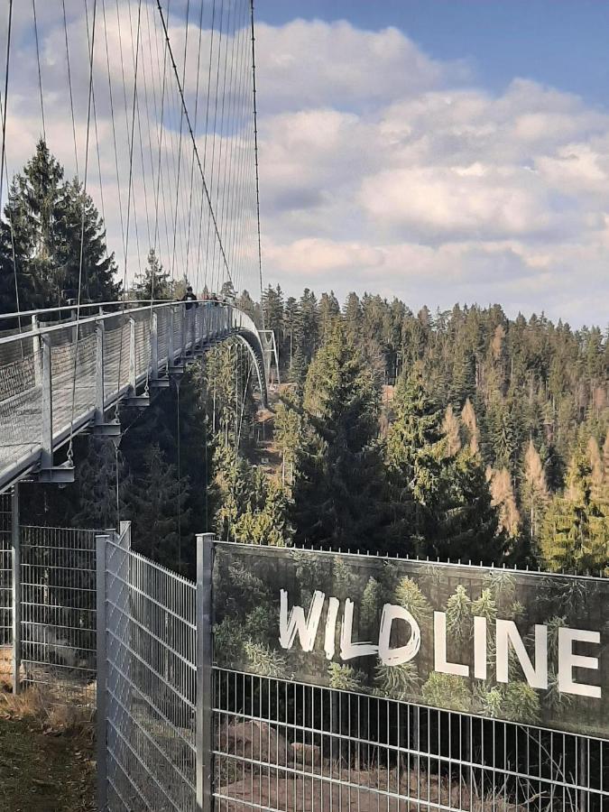 Schwarzwald Maedl Apartman Bad Wildbad Kültér fotó