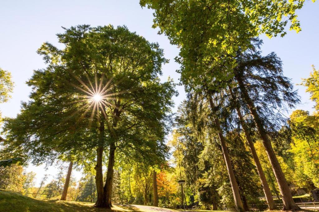 Schwarzwald Maedl Apartman Bad Wildbad Kültér fotó